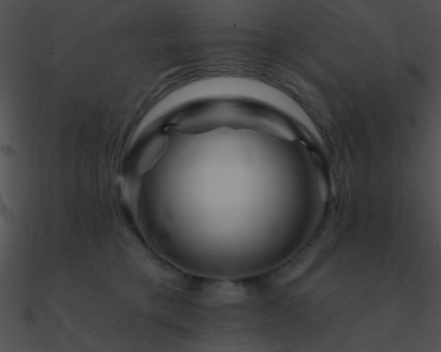 X0000090970421200708021441