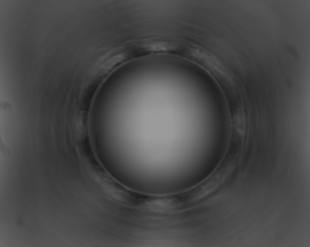 X0000090970422200708021441