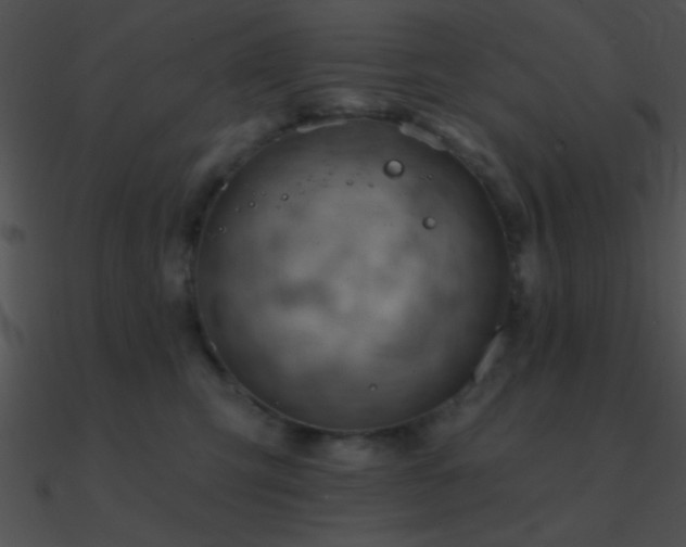 X0000090970423200708021441