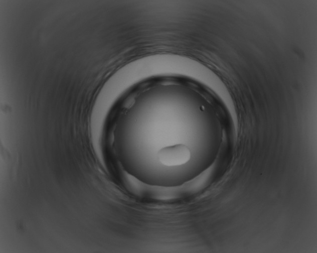 X0000090970425200708021441