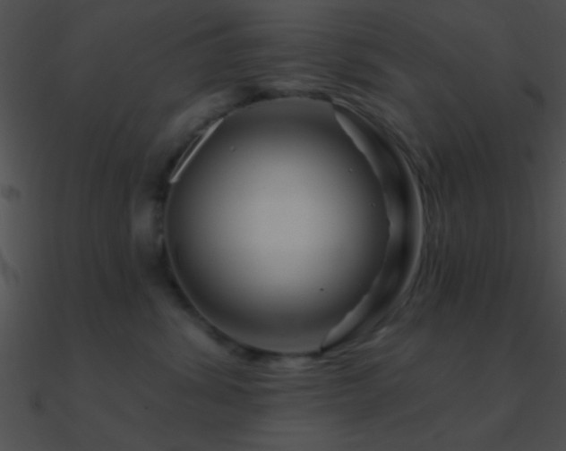 X0000090970428200708021441