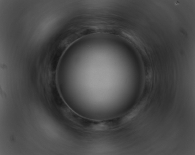 X0000090970430200708021441