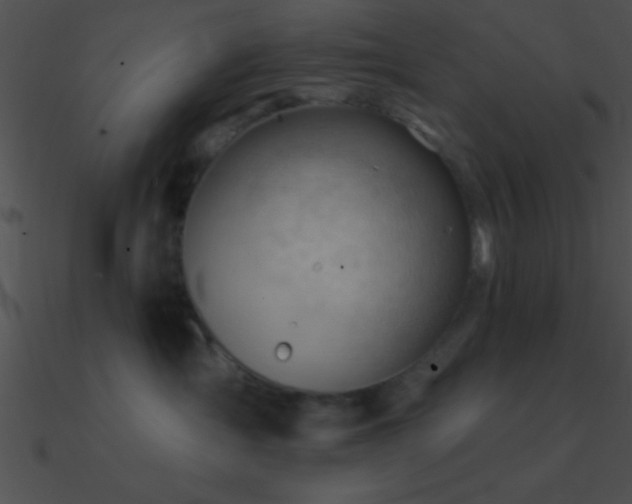 X0000090970431200708021441