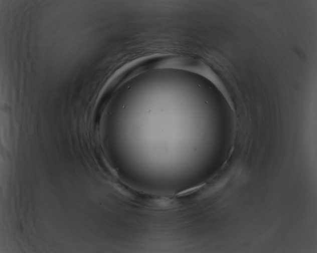 X0000090970432200708021441