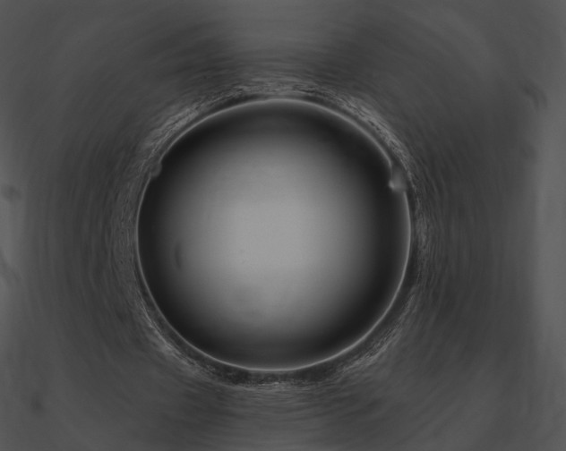 X0000090970433200708021440