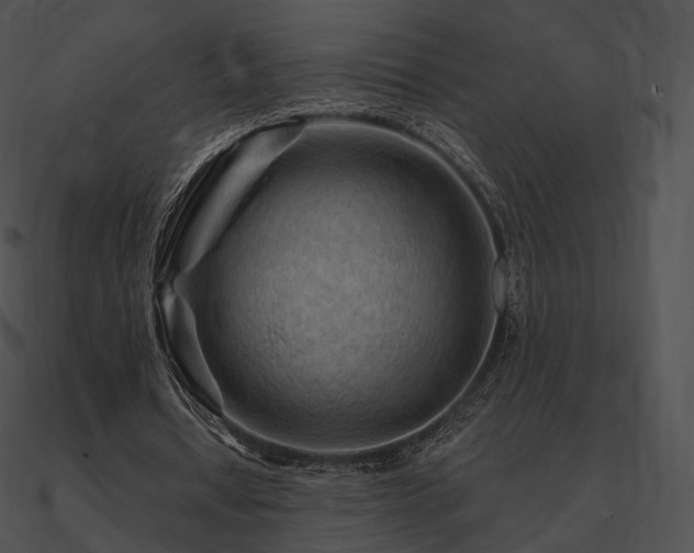 X0000090970434200708021440