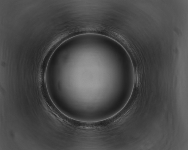 X0000090970435200708021440