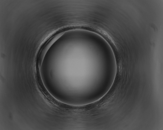 X0000090970436200708021440