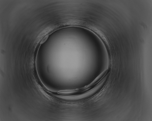 X0000090970437200708021440