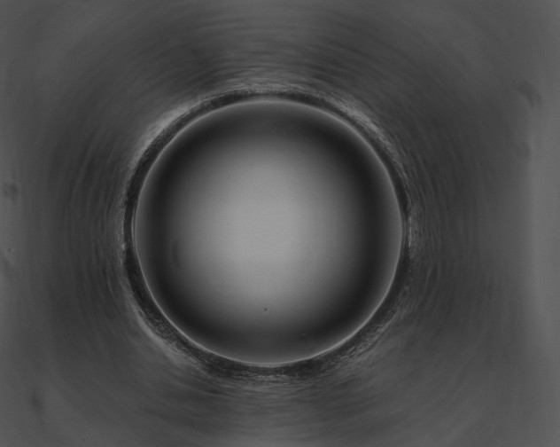 X0000090970438200708021440