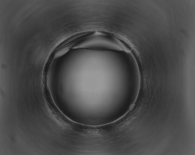 X0000090970439200708021441