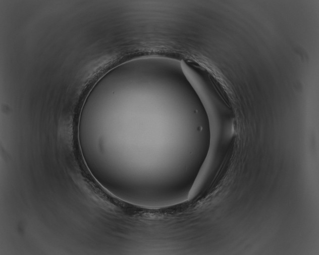 X0000090970442200708021441