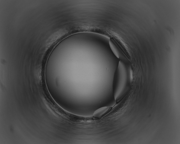 X0000090970443200708021441