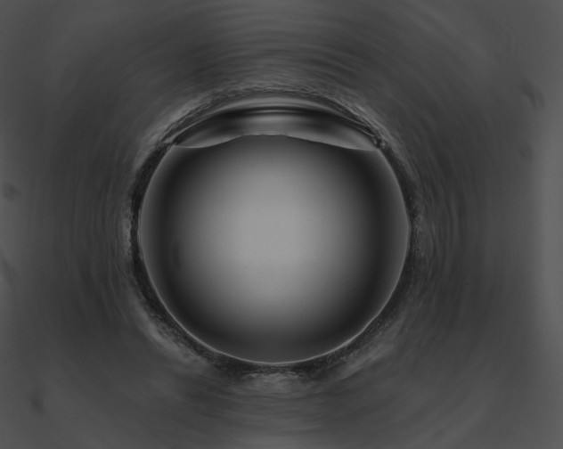 X0000090970446200708021441