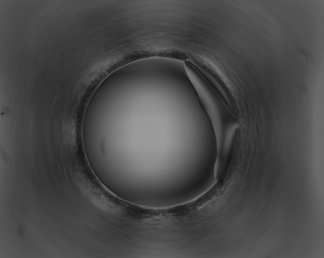 X0000090970447200708021441