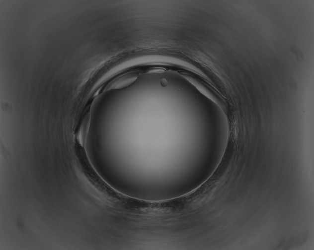 X0000090970448200708021441