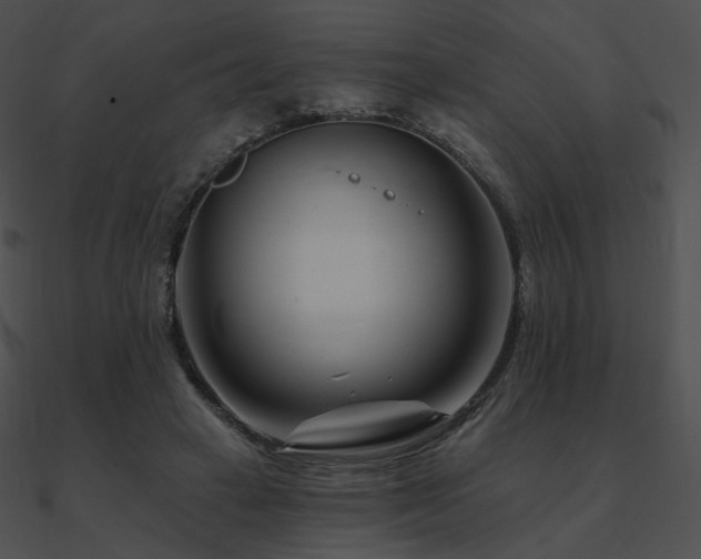 X0000090970449200708021441