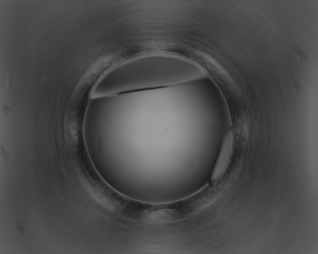 X0000090970452200708021441