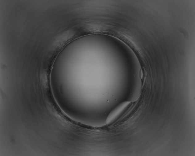 X0000090970453200708021441