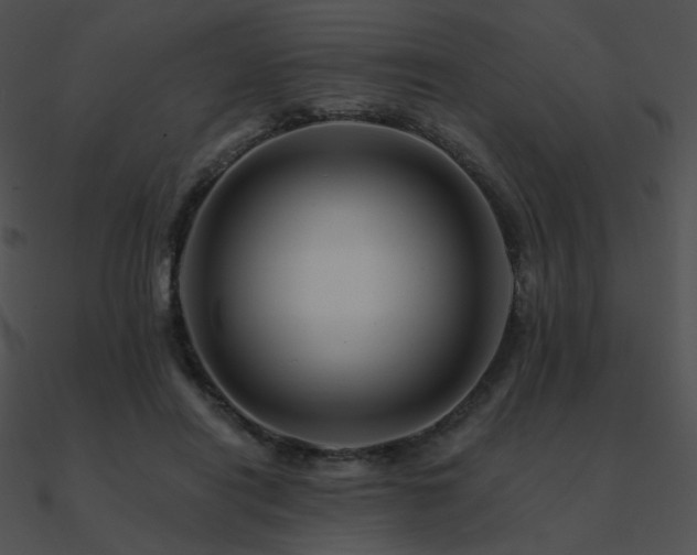 X0000090970454200708021441