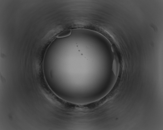 X0000090970455200708021441