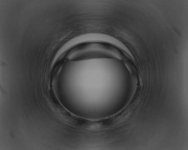 X0000090970456200708021441