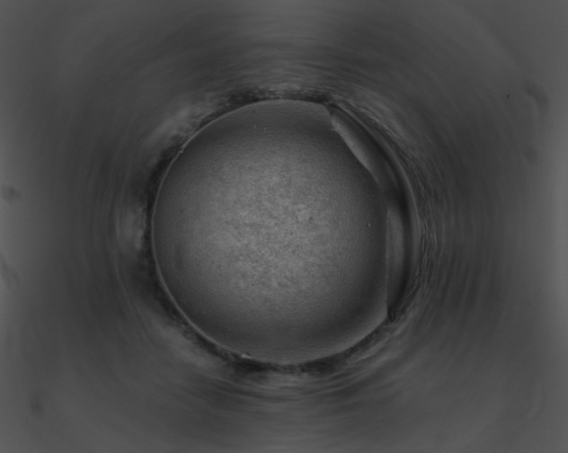 X0000090970458200708021441