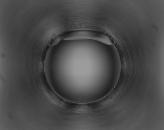 X0000090970459200708021441