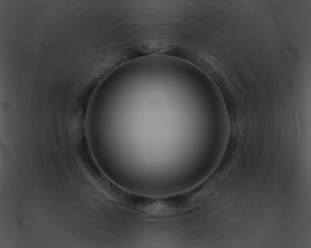 X0000090970460200708021441