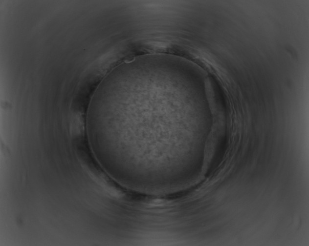 X0000090970467200708021441