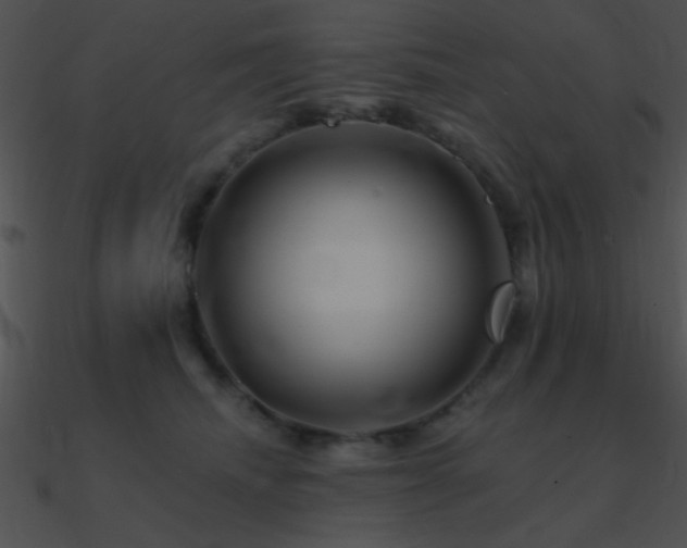 X0000090970468200708021441