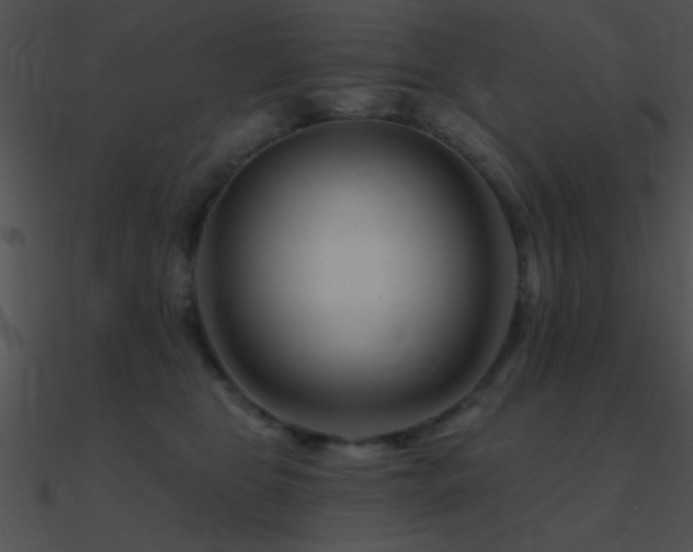 X0000090970469200708021441