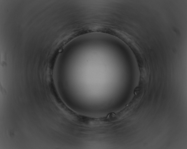 X0000090970470200708021441