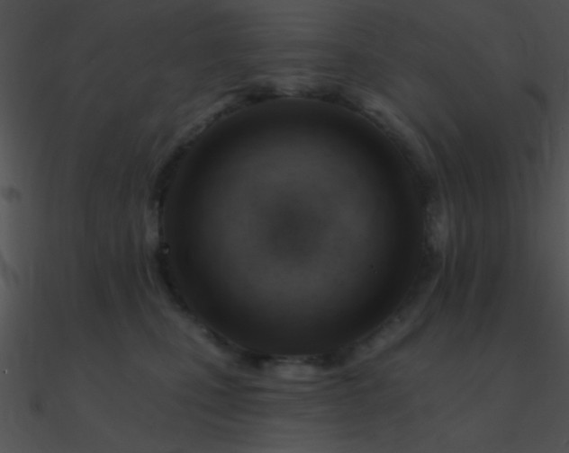 X0000090970471200708021441