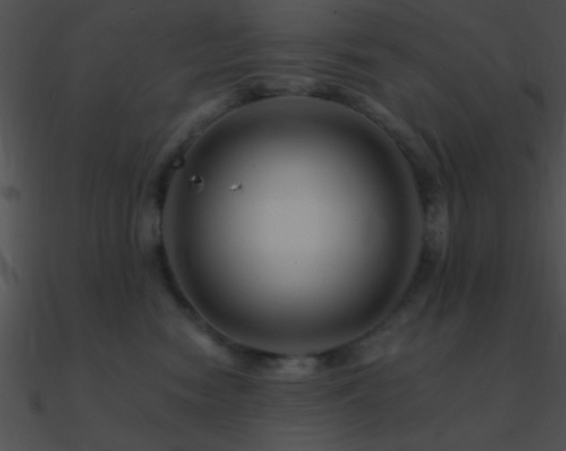 X0000090970474200708021441