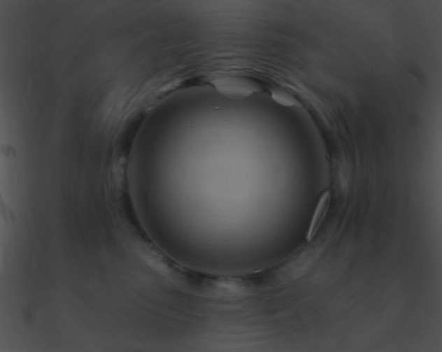 X0000090970475200708021441