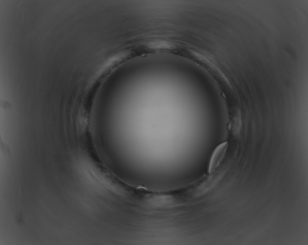 X0000090970476200708021441