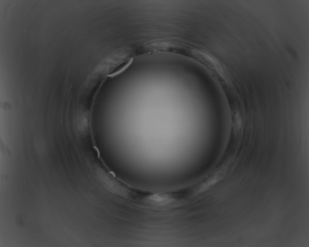 X0000090970477200708021441