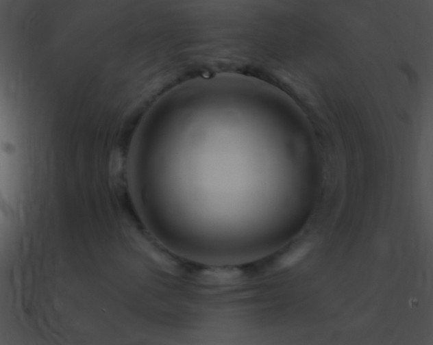 X0000090970480200708021441