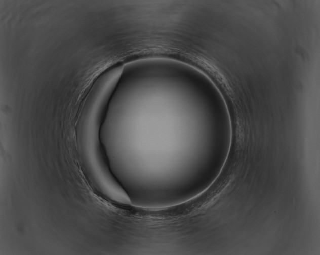 X0000090970481200708021440