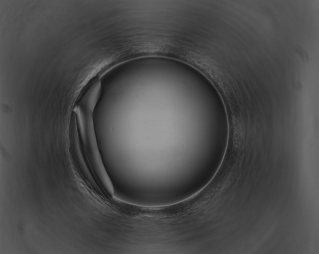 X0000090970482200708021440