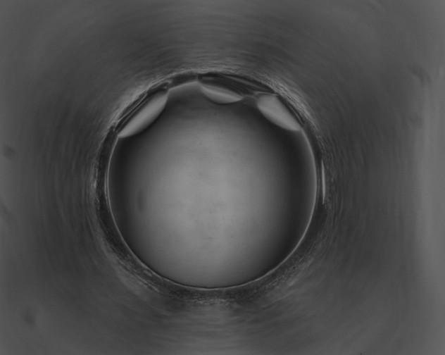 X0000090970483200708021440