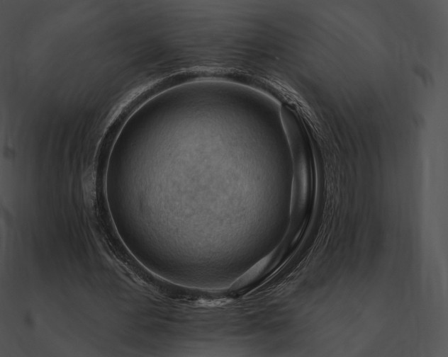 X0000090970484200708021440