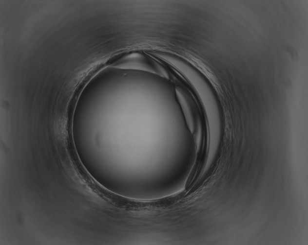 X0000090970485200708021440