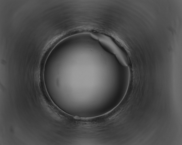 X0000090970486200708021440