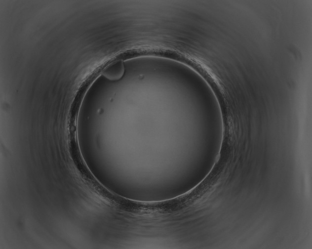 X0000090970487200708021440