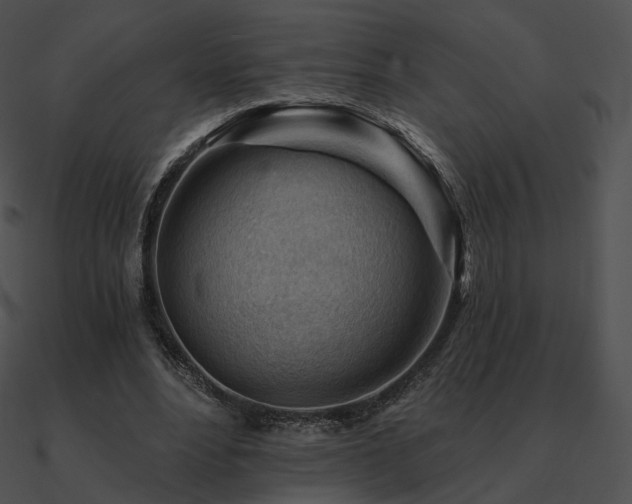 X0000090970488200708021440