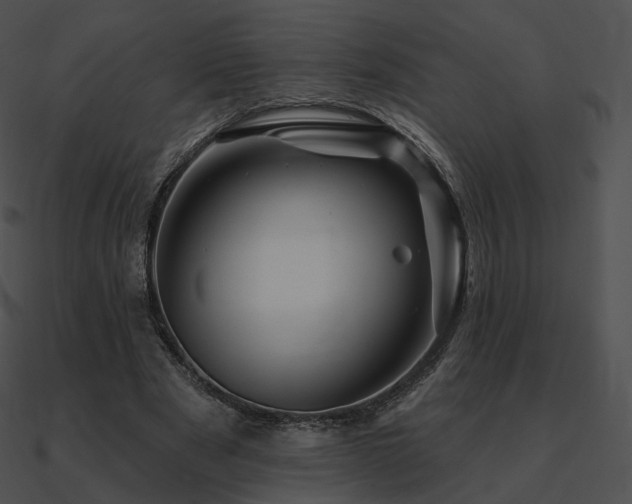 X0000090970489200708021440