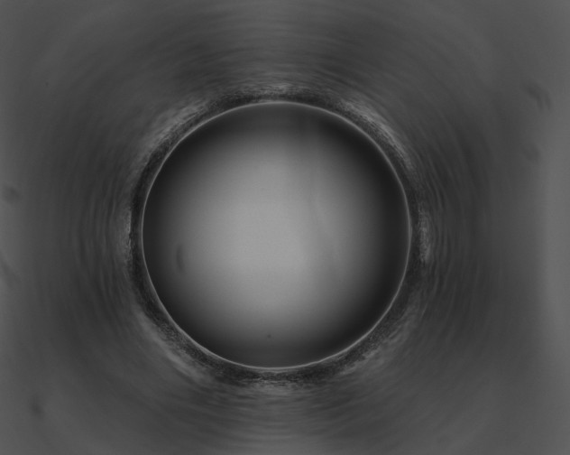 X0000090970490200708021440