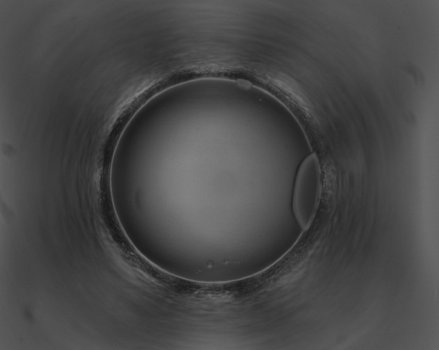 X0000090970491200708021440